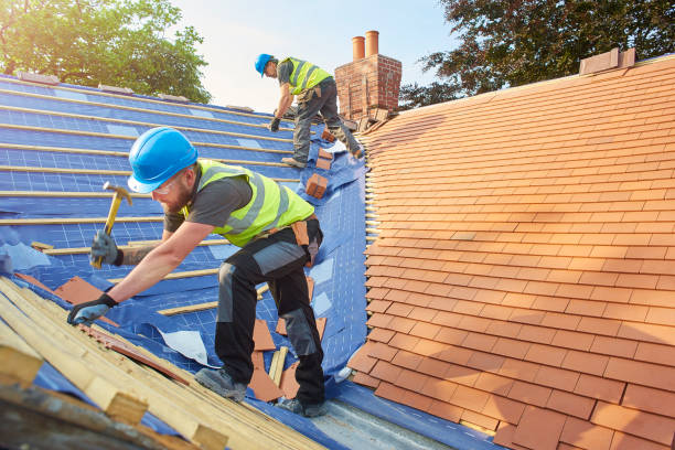 Best Roof Leak Repair  in Rossvle, IL